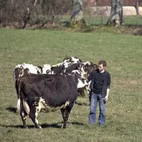 La profession agricole entend expliquer au grand public les réalités du métier d’éleveur, reposant avant tout sur la relation avec l’animal.