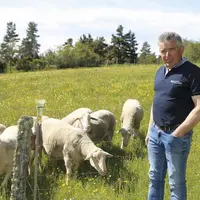 Dominique Pauc auprès d'une partie de son troupeau