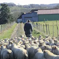 Un mois et demi de repos des parcelles en hiver.