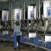 À l’échelle mondiale, la production de lait a augmenté d’environ 3 % sur les deux premiers mois de l’année, tirée principalement par l’Union européenn