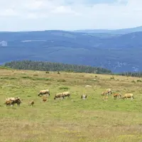 Mardi 6 octobre a été présenté Occitanum, le Living-lab porté entre autres par l’Inrae Occitanie. Ce Living-lab va soutenir des projets sur l’agroécol