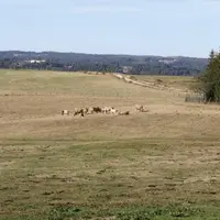 Terre craquelée, herbe brûlée par le soleil, prairies en manque d’eau à perte de vue : le nord du département subit, en 2020, une nouvelle sécheresse