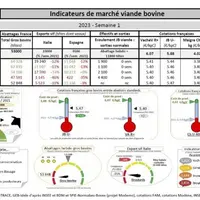 Chaque mercredi, retrouvez les « Indicateurs de marché viande bovine », proposés par la FNB pour faciliter la lecture du marché de la viande bovine pa