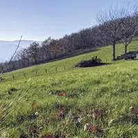 Le potentiel de stockage additionnel de carbone dans les sols agricoles et forestiers français entre 0 et 30 cm est estimé à 5,78 millions de tonnes d