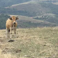 Les sécheresses de ces dernières années sont une des réalités du changement climatique.