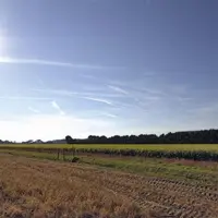Comme chaque année, l’organisme de conseil et d’expertise de la filière agricole présente en ce mois de janvier ses résultats économiques pour les dif