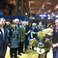 Usange, du Gaec Brunel de Barres, a remporté le prix de championnat femelle ainsi que le premier prix des vaches âgées.