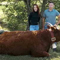Mardi 15 novembre, à très exactement 9 h, le Salon International de l’Agriculture a dévoilé l’affiche de sa prochaine édition qui se tiendra du 25 fév