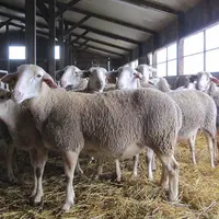 De nombreux dispositifs existent pour aider les agriculteurs en difficulté, que ce soit au niveau de leurs troupeaux ou de la direction de leurs explo