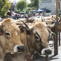 Samedi 4 septembre, à Nasbinals, la 3e édition de la fête de l’Aubrac a retrouvé son public et ses animations, après une année en demi-teinte due à la