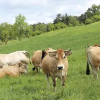 Malgré le mécontentement de certaines filières comme le vin, le passage en commission du projet de loi de finances rectificative (PLFR3) a occasionné