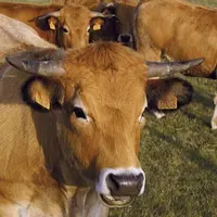 Les industriels de l’agroalimentaire avaient jusqu’au 1er décembre pour finaliser leurs conditions générales de vente et les envoyer aux distributeurs