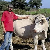 Samedi 17 et dimanche 18 septembre, le concours Qualiviande aura lieu à la grande halle d'Aumont-Aubrac. L'occasion pour Anthony Poulalion, du Gaec du