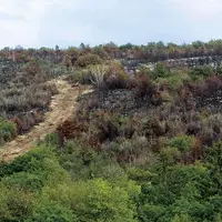 En août 2022, une forêt de pins et de sapins a été la proie des flammes, près de la commune de Montrevel, dans le Jura.