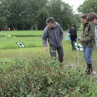 Les éleveurs s’interrogent sur les mélanges à apporter dans leurs prairies afin d’augmenter l’autonomie alimentaire de leur troupeau