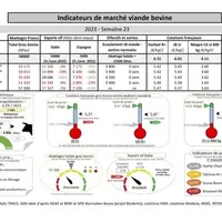 Comme chaque mercredi, voici les indicateurs de marché viande bovine, proposés par la FNB pour faciliter la lecture du marché de la viande bovine par