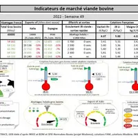 Comme chaque mercredi, voici les « Indicateurs de marché viande bovine » de la semaine 49, proposés par la FNB pour faciliter la lecture du marché de