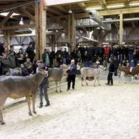 Du 21 au 23 avril, sous la halle d'Aumont-Aubrac, auront lieu les Journées laitières. Une belle édition, qui devrait réunir autant d'éleveurs que de v