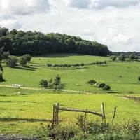 Les deux marques de la start-up nordiste Beyond Green s'approvisionnent en matières premières agricoles auprès de cultivateurs français en conversion