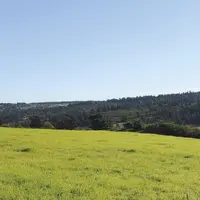 Les amis de l’Aigoual, du Bougès et du Lozère réunis pour leur 32e assemblée générale, à Meyrueix, ont invité Christian Lévêque* pour une conférence p