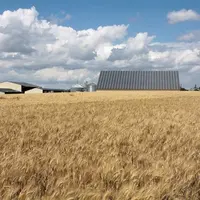 Un rapport commandé par le ministère des Armées plaide pour que la France intègre la menace de la géo-ingénierie solaire dans sa stratégie de défense.