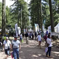 Pour sa huitième édition, qui se tiendra les 22, 23 et 24 juin à Saint-Bonnet-de-Joux, en Saône-et-Loire, Euroforest réunit près de 400 exposants orig