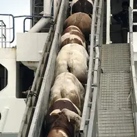 Le port de Sète est sorti de la zone réglementée.