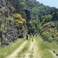 Alors que les annonces de déconfinement ont permis au secteur du tourisme d’envisager l’été, l’association du chemin Stevenson a présenté, ce 3 juin,