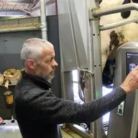Gaëtan Maurice et Jérôme Merlin contrôlent depuis la fosse, alors qu'une vache est traite sur le robot entièrement automatique, particulièrement compa