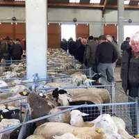 Dans quelques mois, le marché de Saugues se changera en marché au cadran ultra-moderne.