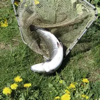 La pêche à la truite est possible jusqu'au 20 septembre.