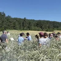 La plateforme d’essais est située sur le causse de Sauveterre à La Piguière et à Malavialette.