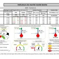 Comme chaque mercredi, voici les indicateurs de marché viande bovine, proposés par la FNB pour faciliter la lecture du marché de la viande bovine par
