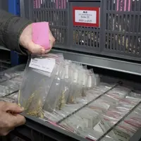Les ministres de l’Agriculture de l’UE attendaient de longue date une proposition sur les nouvelles techniques de sélection génomiques (NBT) et ils ne