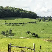 Les petites entreprises du secteur agricole pourront faire l’objet d’annulations de cotisations « au cas par cas », a annoncé le ministre des Finances