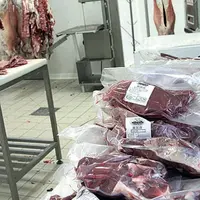 La dynamique est plutôt bonne en viande bovine.