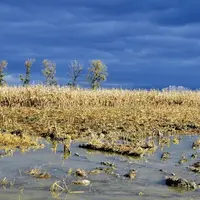 Le décret qui officialise les grands paramètres de la réforme sur la gestion des risques climatiques est paru au Journal officiel. Il précise notammen