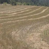 Manque de pluie, conjoncture et prix au plus bas, etc. La trésorerie des agriculteurs est plus que dans le rouge.