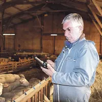 Michel Barrandon est le premier éleveur du département à avoir opté pour le logiciel de suivi de troupeau Ovitel.