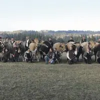 Ils sont 16 sélectionnés pour représenter la race Aubrac au salon international de l’agriculture qui se déroulera du 24 février au 4 mars à Paris.