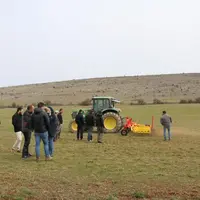 La herse étrille permet entre autres de limiter la présence d’adventices.