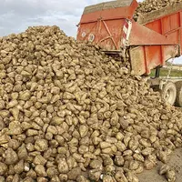 Sans s'engager formellement, le ministre de l'Agriculture a laissé entendre qu'il était favorable au renouvellement de la dérogation concernant l'usag