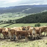 Les fermes auditées ont des profils relativement différents. Seul dénominateur commun : l’élevage de ruminants.