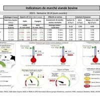 Comme chaque mercredi, voici les indicateurs de marché viande bovine, proposés par la FNB pour faciliter la lecture du marché de la viande bovine par