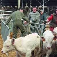 L’entraide en famille ou avec les voisins est un aspect positif souligné par la plupart des jeunes enquêtés.