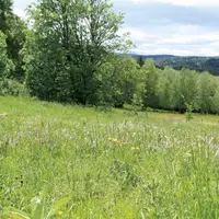 Alors que le changement climatique affecte le travail des agriculteurs, le parc national des Cévennes a mis en place un test pour aider les agriculteu