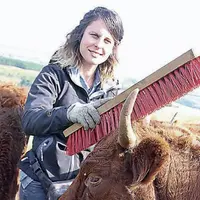 Pauline Garcia, au milieu d’un lot de génisses de 18 mois, avec son indispensable brosse pour mieux les approcher.
