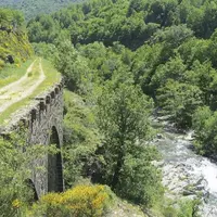 Entre Auvergne et Languedoc-Roussillon, le chemin de Stevenson relie l'est du Massif central aux Cévennes. Du 21 juin au 4 juillet une déambulation li