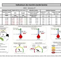Comme chaque mercredi, voici les indicateurs de marché viande bovine, proposés par la FNB pour faciliter la lecture du marché de la viande bovine par