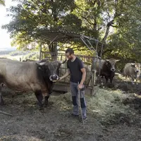 Après avoir participé à l’organisation des concours bovins en tant que conseiller à la chambre d’agriculture de Lozère, David Domenichini s’est instal